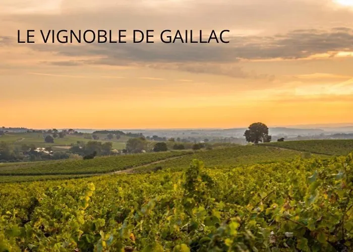 Apartament T2 Cosy - 70m2 Au Coeur De