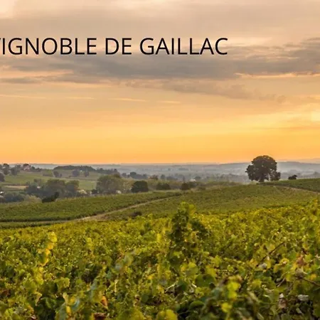 Διαμέρισμα T2 Cosy - 70m2 Au Coeur De