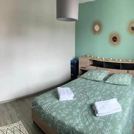 T2 Cosy - 70m2 Au Coeur De Graulhet