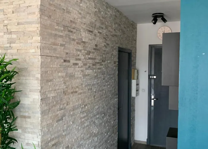 T2 Cosy - 70m2 Au Coeur De Apartamento Graulhet