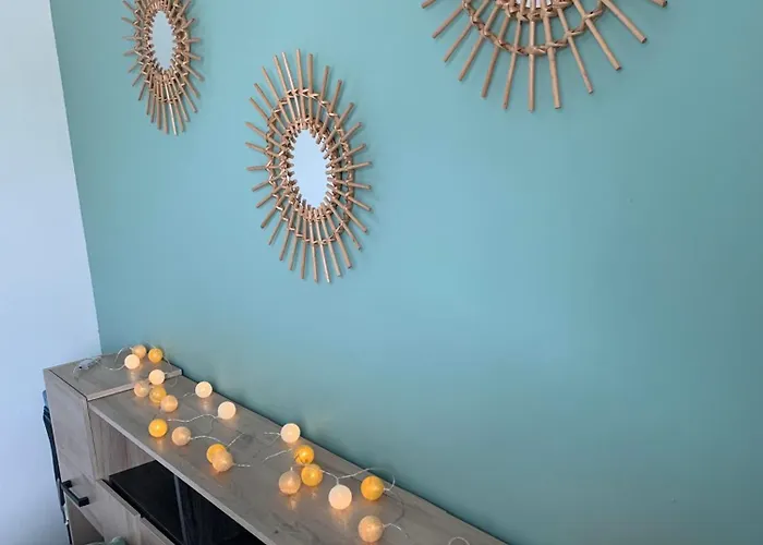 Apartamento T2 Cosy - 70m2 Au Coeur De Graulhet